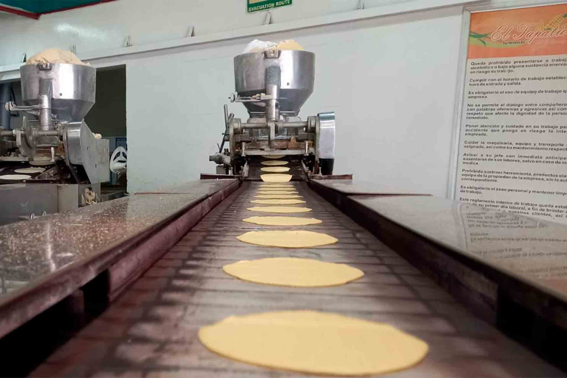 Informales más del 80 de las tortillerías