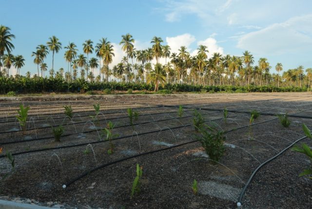 9f2271e7 d7f1 8c15 38bb 5ed14cf6b0ea