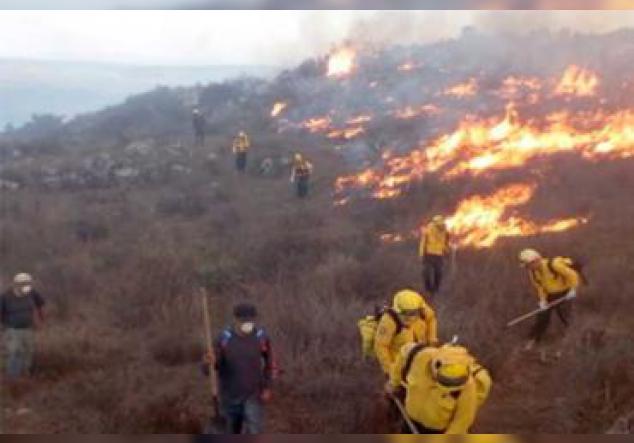 Los incendios forestales en Aguascalientes durante el 2019 costaron casi 1.5 millones de pesos al registrarse 85 siniestros que dañaron cerca de 5 mil hectáreas.