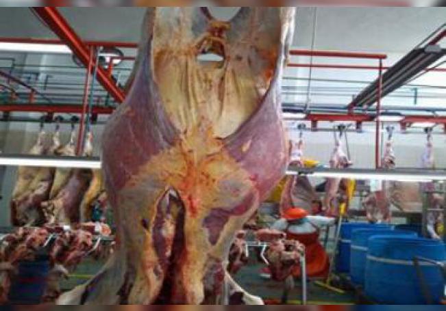 Se intoxican tres por consumir carne contaminada