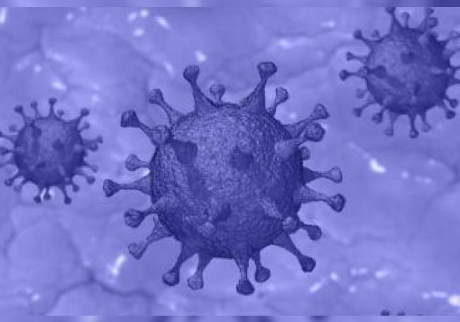 Coronavirus: Aguascalientes acumula 447 contagios y 14 muertos