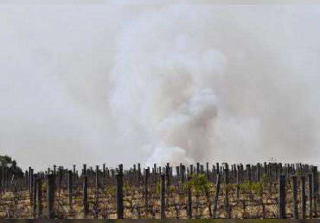 Humo de incendios en Australia llega hasta Argentina y Chile