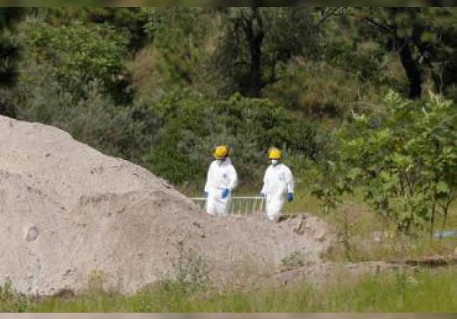 Encuentran 75 bolsas con restos humanos en Zapopan