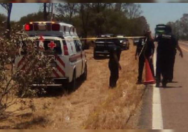 El conductor de una camioneta perdió la vida tras impactarse contra un árbol.
