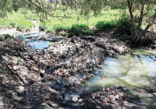 Contamina el Gobierno del Estado ríos y lagos: CONAGUA