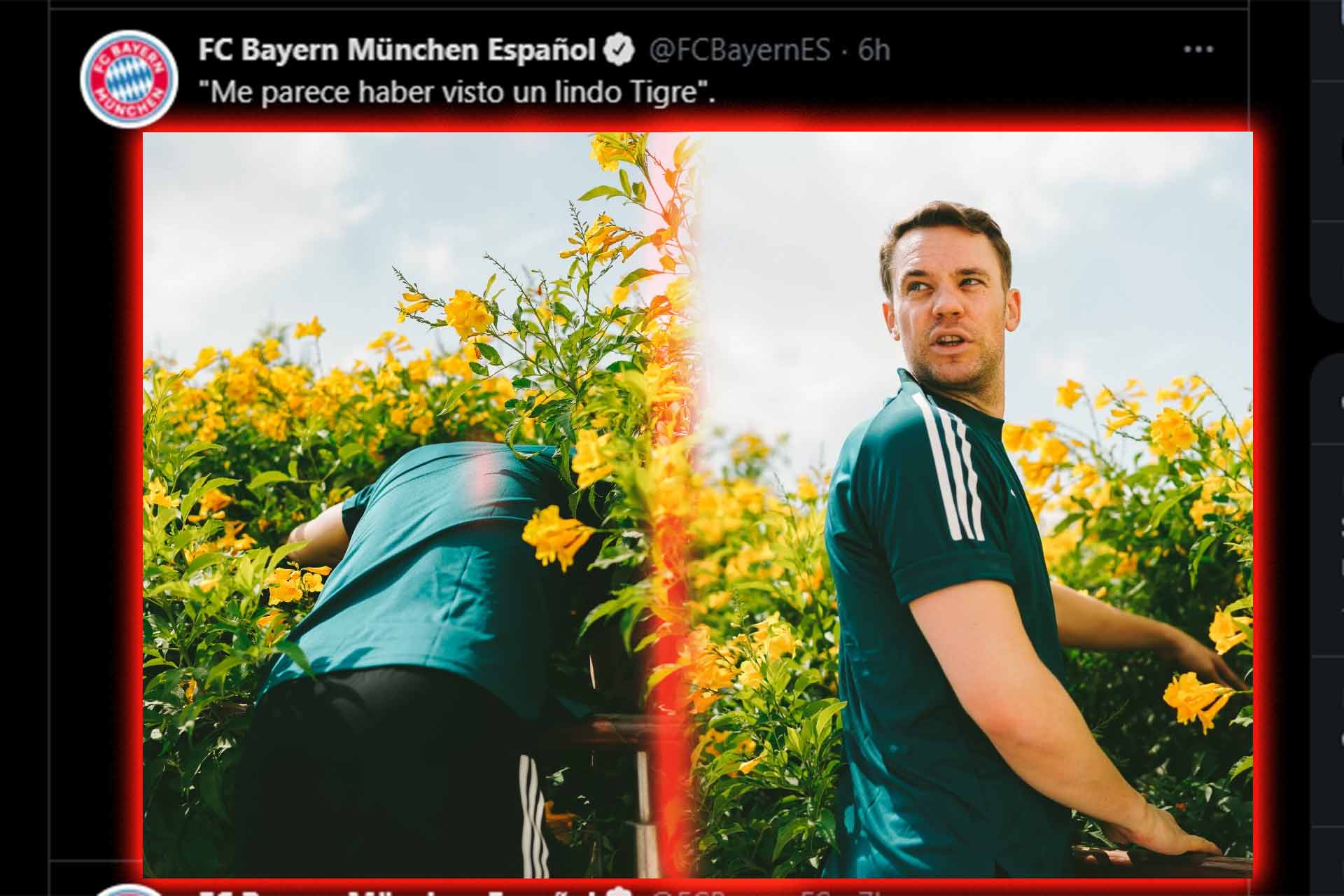 Tuit del Bayern Munich