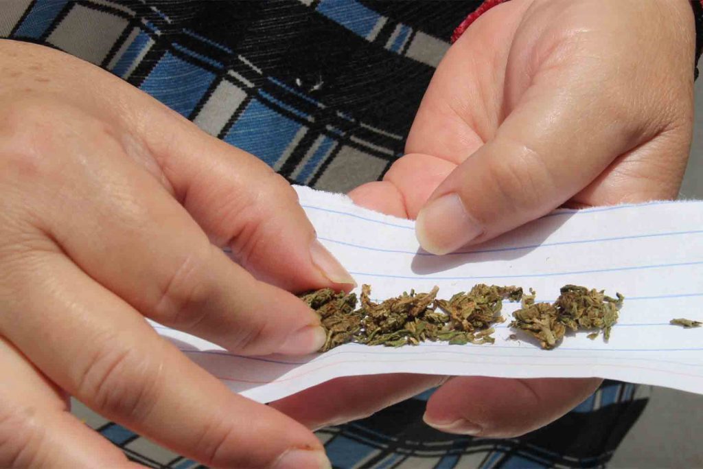 Es la marihuana la droga más consumida en Aguascalientes