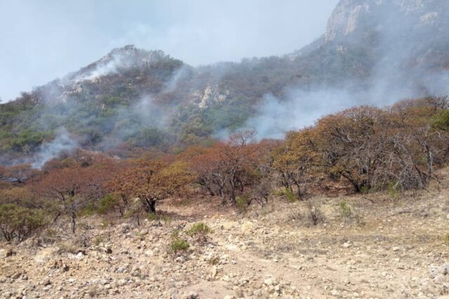 Fuego Sierra del Laurel