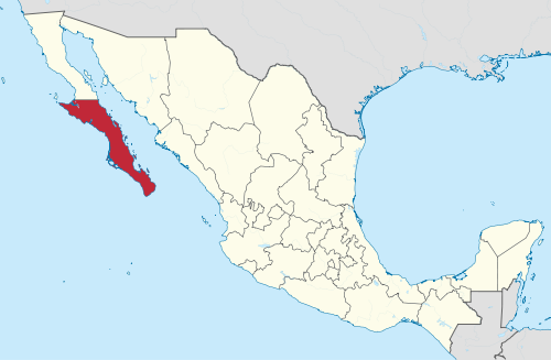 Tras despenalización, practican 17 abortos en Baja California Sur