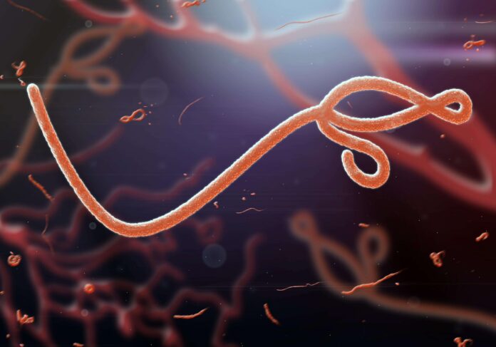 Reino Unido investiga posible primer caso de ébola en Gran Bretaña