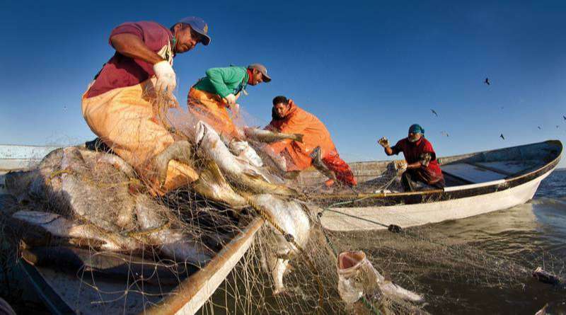 Pescadores denuncian nuevo derrame de Pemex en playas de Oaxaca