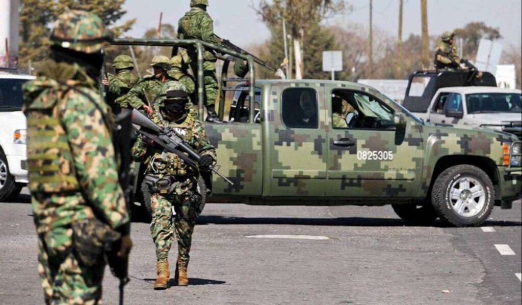 Soldados aseguran casi 700 kilos de marihuana en Halachó, Yucatán