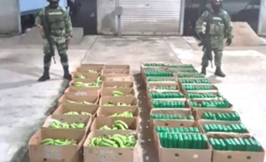 Entre cajas de plátano escondían cocaína y fueron asegurados en Chiapas