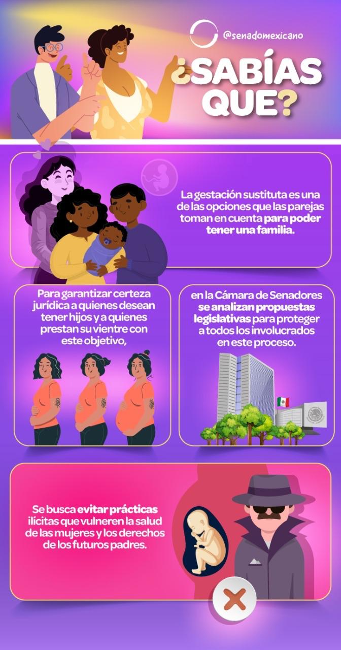 9 15 0123 Infografia La gestacion sustituta...