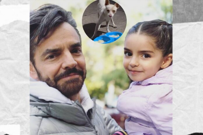Eugenio Derbez rescata a un perrito y los cibernautas le piden que lo adopte
