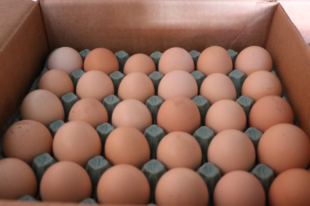 Huevo alcanza los 47 pesos el kilo en el agropecuario
