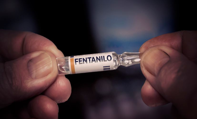 Alto porcentaje de homicidios en Guanajuato es por consumo de fentanilo: AMLO