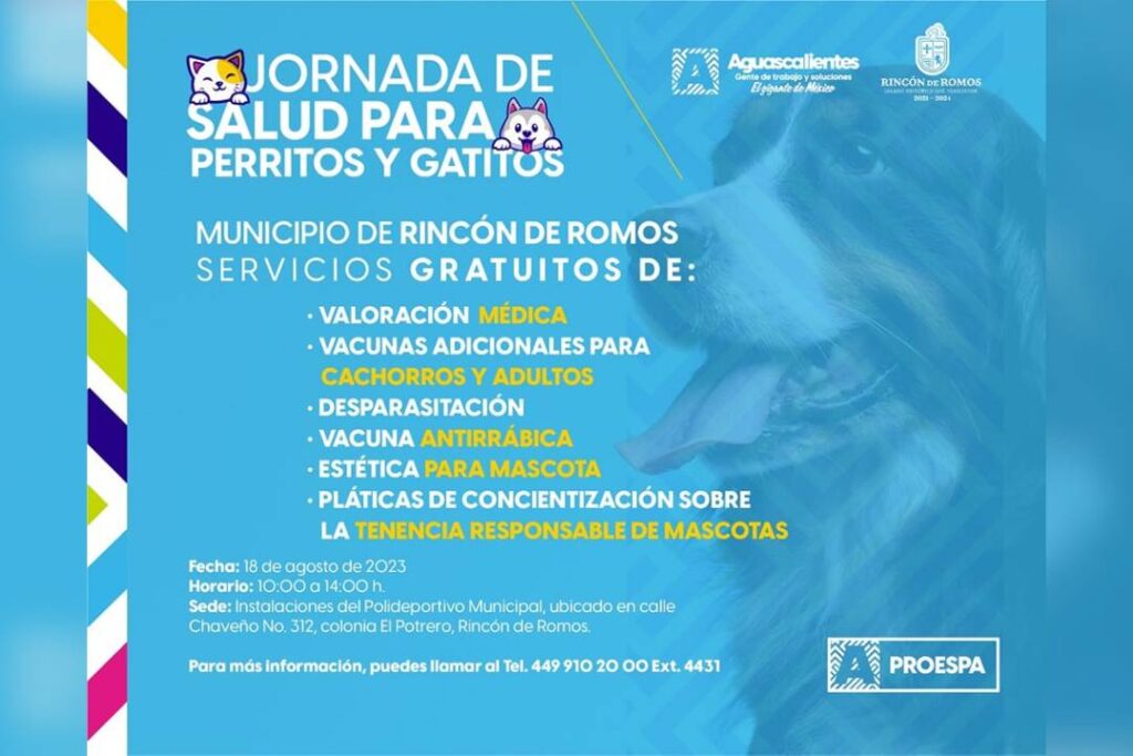 Servicios gratuitos para mascotas en Rincón de Romos