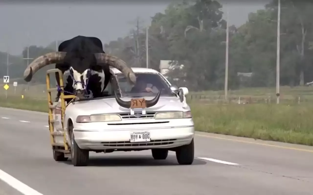 Adaptó su automóvil para viajar con un Toro Wastusi