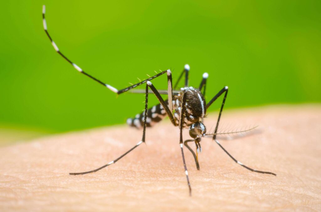 68 colonias de la ciudad tienen dengue