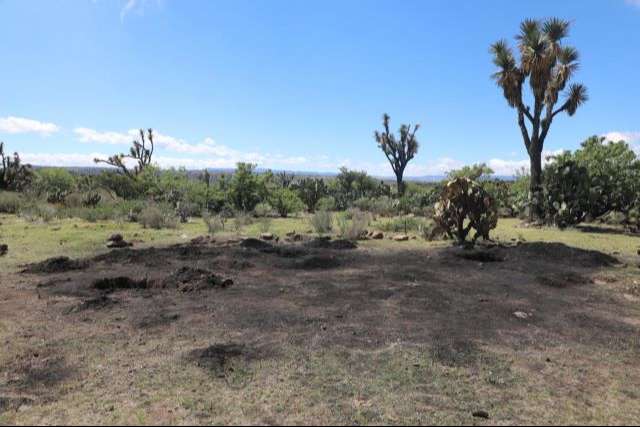 WhatsApp Image 2023 10 12 at 22.04.42 2 1