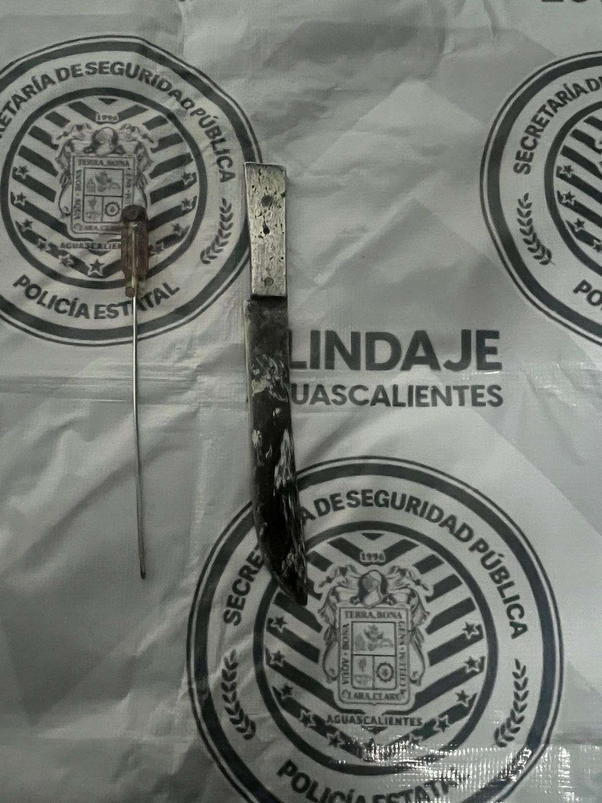 WhatsApp Image 2023 11 11 at 21.51.30 1 1