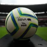 01gnwjpk6mjndexhrh55 2