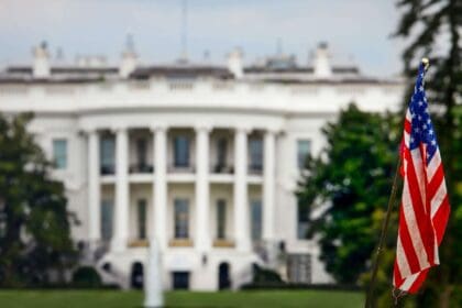 1599707233675 1 scaled 1