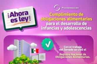 28 31 0823 Infografia Obligaciones alimentarias