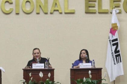 Claudia Suárez será encargada de la Secretaría Ejecutiva del INE
