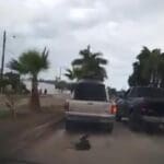 318519478 512713407548281 1390812120947854187 n