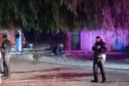 32098413 c56c 4b62 aba4 d980564ae46b