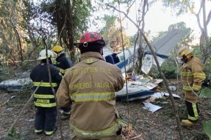 322108100 677344340544104 735646876958399551 n