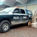 33 KILOS 3 1024x576 1