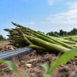 340765138 240234265063774 5366819016980001232 n