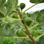 340825663 789649969260347 3424461912568798014 n