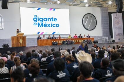 344560713 900100341052992 3507213800333039368 n