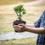 347254522 1040089420729228 5616210066181685310 n