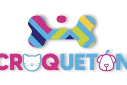 348843815 779626616937125 6527934873035925091 n