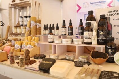 362950915 659859992834402 6559237229806281268 n