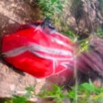 363338399 220513780975458 2897117294217076853 n