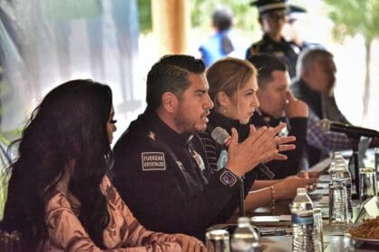 366064902 847858343572222 4330173524926331277 n