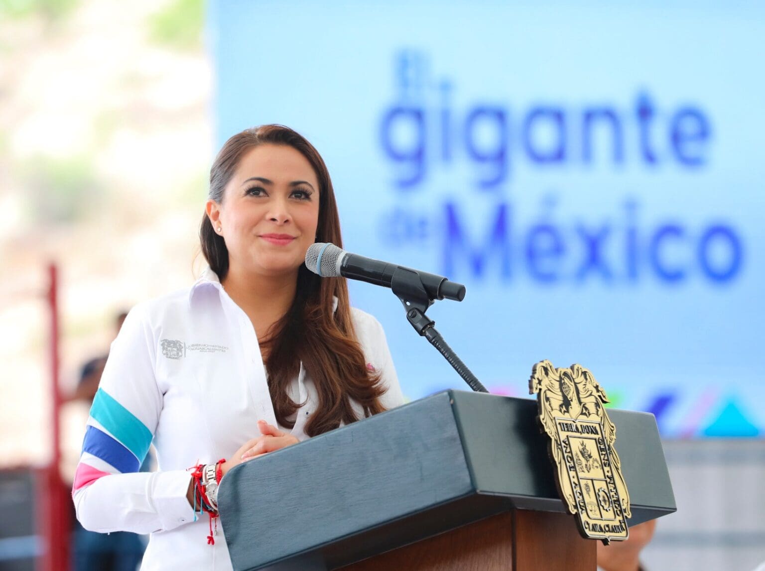 368232158 688289003339772 5539619029236689493 n