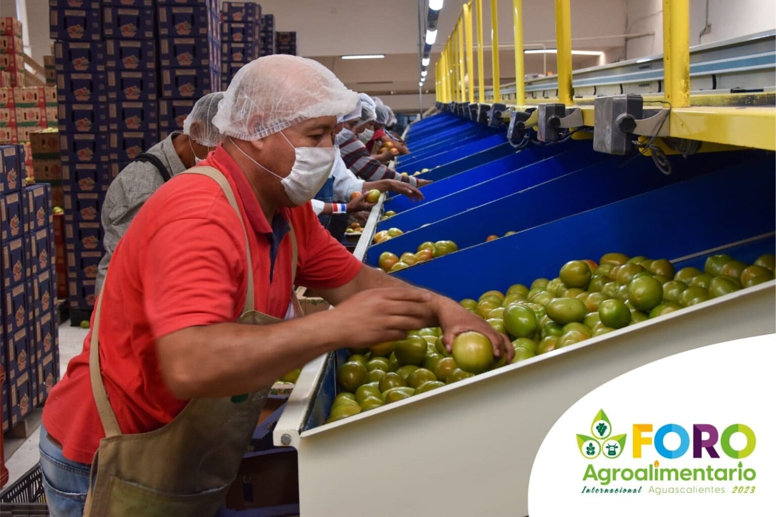 370362361 699381142206712 8700454143310969494 n