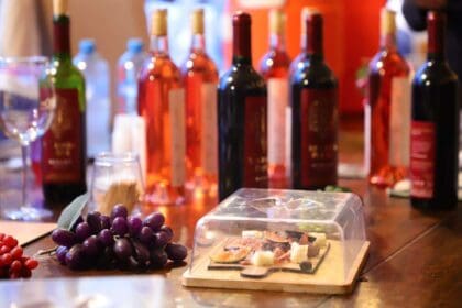 374251122 855374642612406 8162318561179785360 n 1