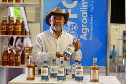 378699430 878779430276766 789517397381092199 n