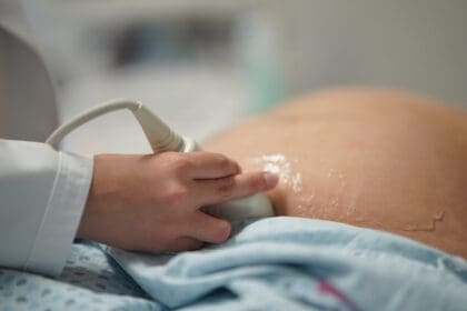 383808082 732991812175099 7889021323851630189 n