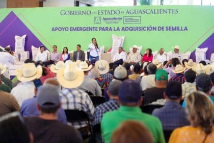 387042608 874581924025011 4052620069171044842 n 1