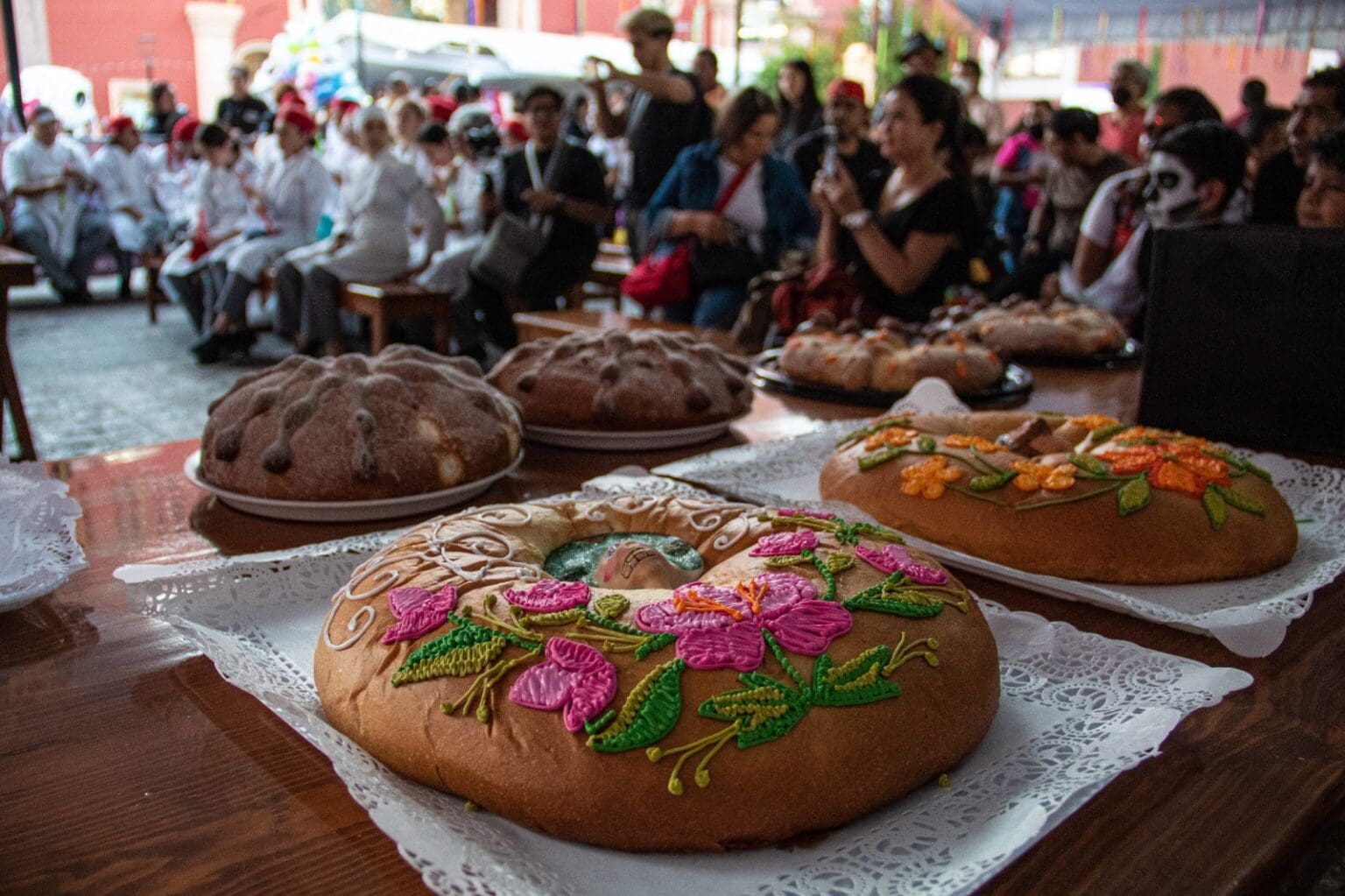 393170921 637196055251901 7974667106325608959 n