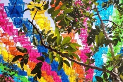 394570671 712641284232726 332582221172734729 n 1